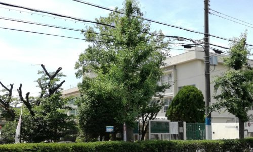 小学校　豊中市立熊野田小学校（小学校）まで358m