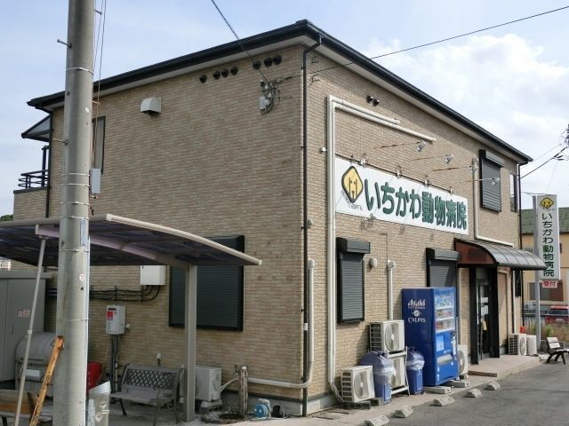 病院　いちかわ動物病院（病院）まで914m