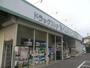 ドラックストア　ドラッグセイムス川口末広店（ドラッグストア）まで723m