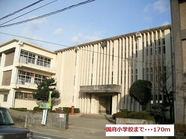 小学校　国府小学校（小学校）まで220m
