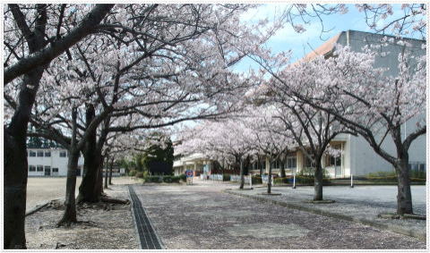 小学校　木更津市立八幡台小学校（小学校）まで889m