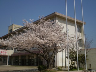 中学校　姫路市立　高丘中学校（中学校）まで1137m