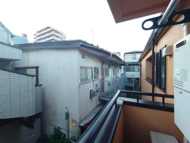 眺望　パームグローヴ