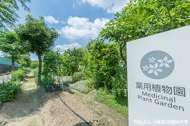 中学校　学校法人大阪医科薬科大学 高槻中学校・高等学校（中学校）まで812m