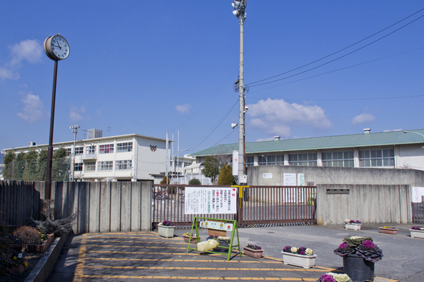 小学校　向日市立第3向陽小学校（小学校）まで218m