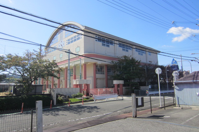 小学校　泉佐野市立上之郷小学校（小学校）まで245m