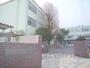 小学校　老上小学校（小学校）まで850m