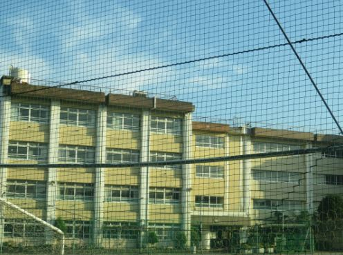 中学校　犬蔵中学校（中学校）まで1404m