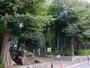 公園　すずめのお宿緑地公園（公園）まで196m