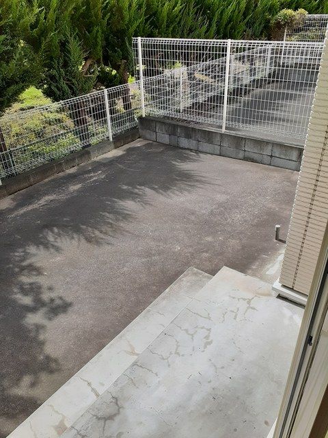 庭