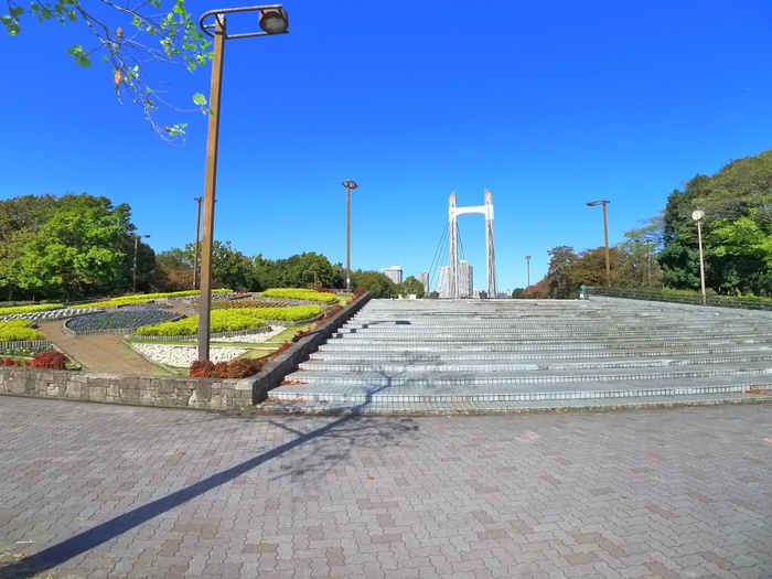 公園　木場公園（公園）まで208m