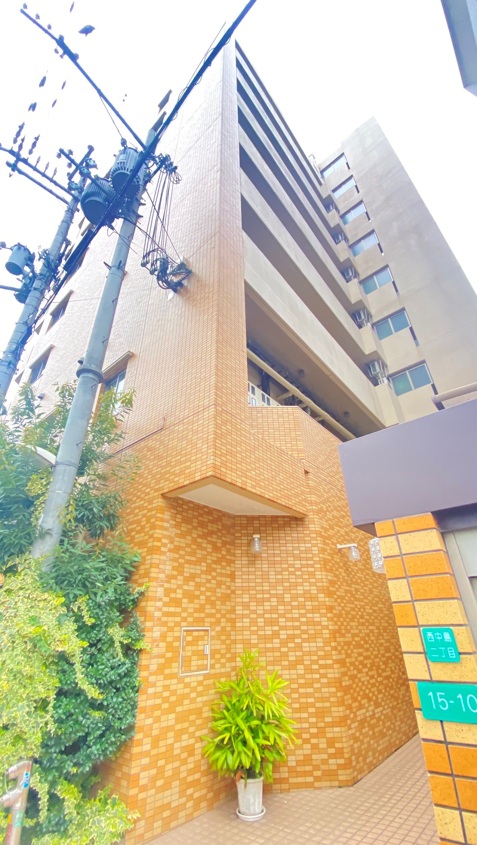 建物外観