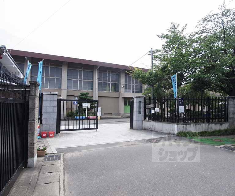小学校　桂小学校（小学校）まで500m
