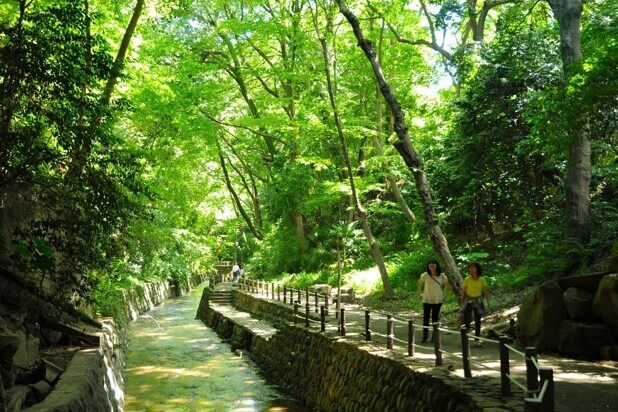 公園　国立科学博物館付属自然教育園（公園）まで399m