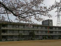 小学校　平田小学校（小学校）まで610m
