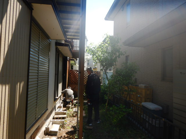 庭