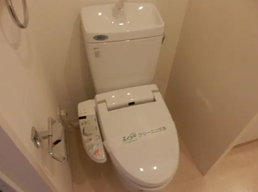 トイレ　同タイプ部屋　参考写真です