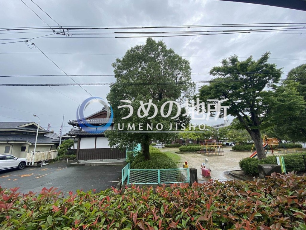 眺望　眺望