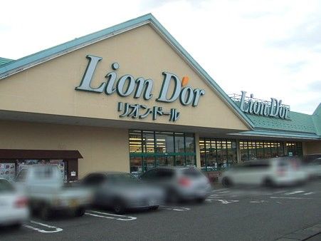 スーパー　リオン・ドール高根沢店（スーパー）まで1062m