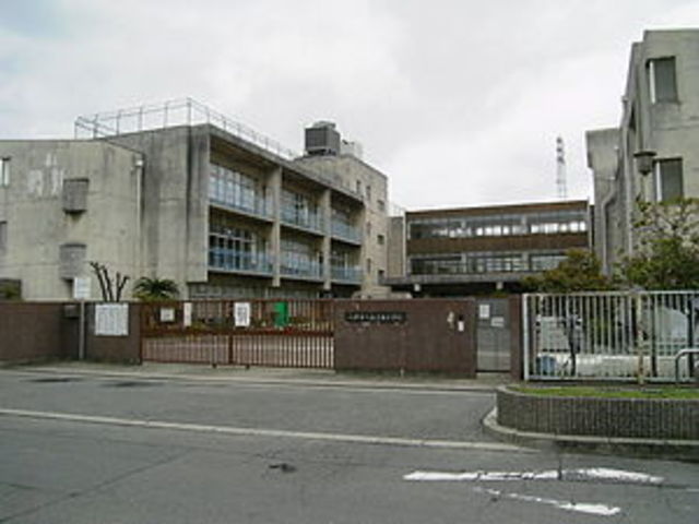 小学校　八尾市立高美南小学校（小学校）まで308m