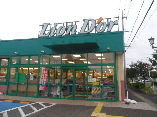 スーパー　リオンドール南中央店（スーパー）まで400m