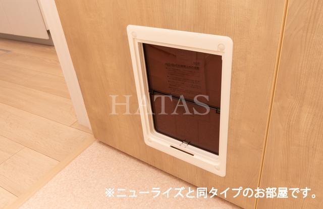 ルミア グレイスのその他写真