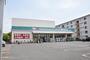 ドラックストア　ドラッグセイムス 新栄店（ドラッグストア）まで502m