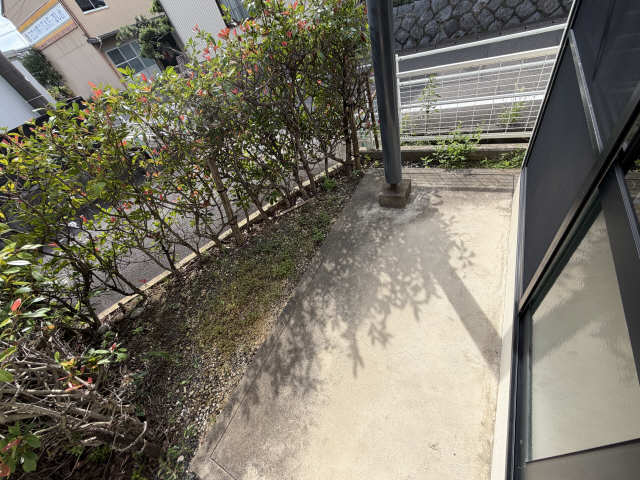 庭
