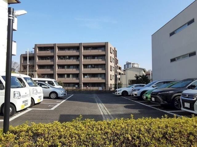 ガーデンルピナスのその他写真