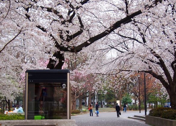 公園　都立戸山公園大久保地区（公園）まで556m