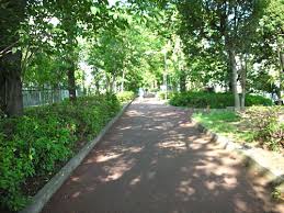 公園　さいわい緑道（公園）まで859m