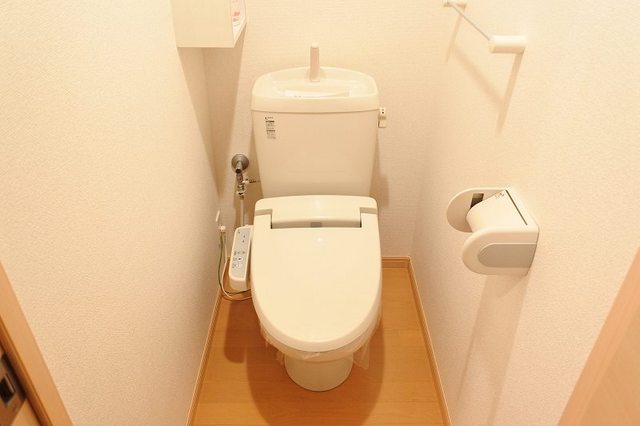 DeamerAKAYAMAのトイレ写真