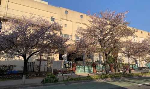 小学校　神戸市立灘小学校（小学校）まで168m