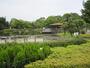 公園　荒川公園（公園）まで463m