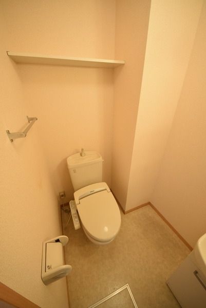 プレスティージュ大月のトイレ写真