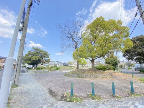 公園　中島公園（公園）まで819m