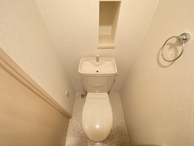 ライジングコート姫島駅前のトイレ写真