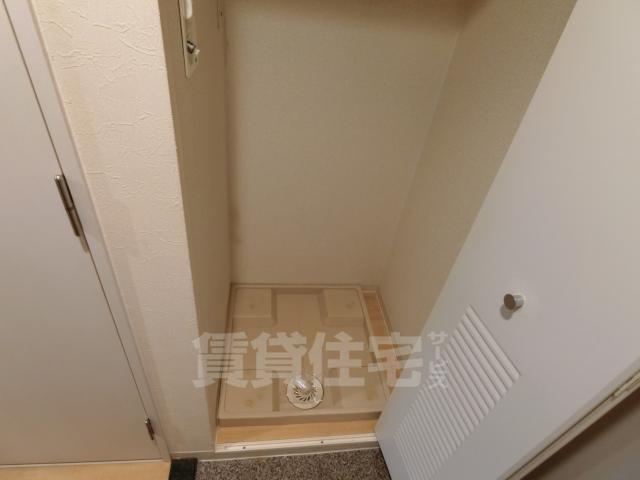 ジュノンのその他写真