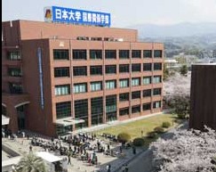 大学・短大　私立日本大学国際関係学部（大学・短大）まで300m