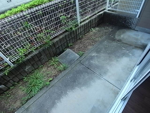 庭