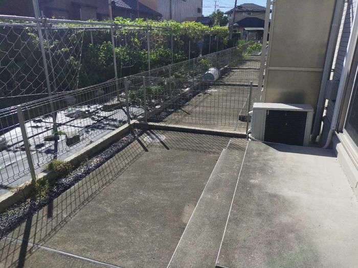 庭