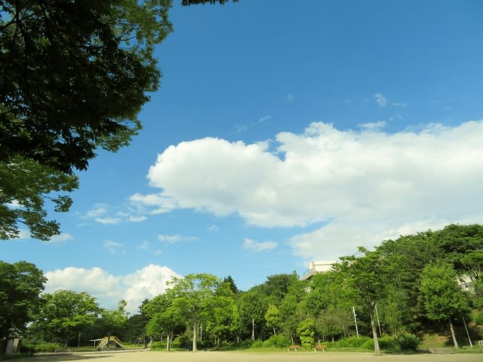 公園　鶴ケ谷中央公園（公園）まで980m