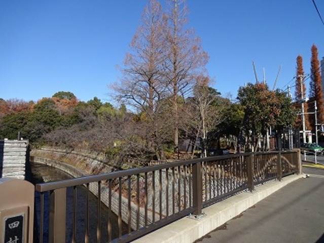 【ジェミニA館の公園】