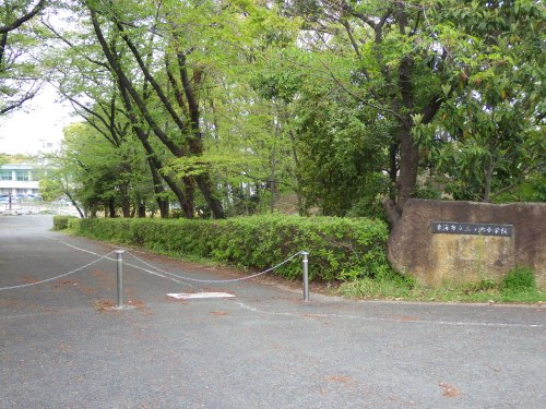 【コーポ栗見坂の小学校】