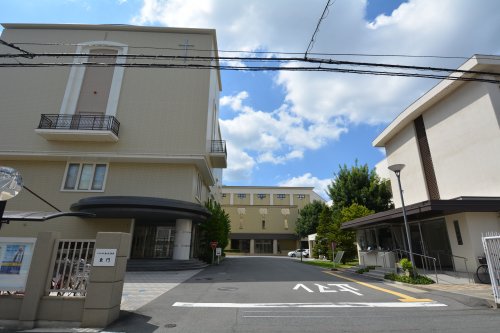 【グランデュール野田屋町の大学・短大】