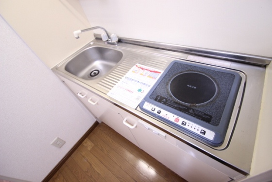 キッチン　※別号室のお写真となります。