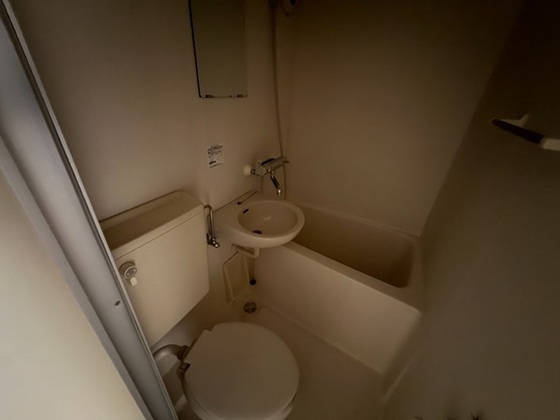 バス・シャワールーム　※他号室の写真です。