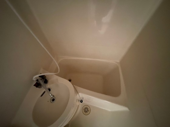 バス・シャワールーム　※別部屋の写真です