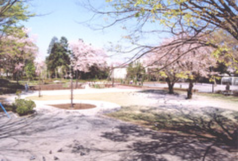 公園　諏訪の森公園（公園）まで350m