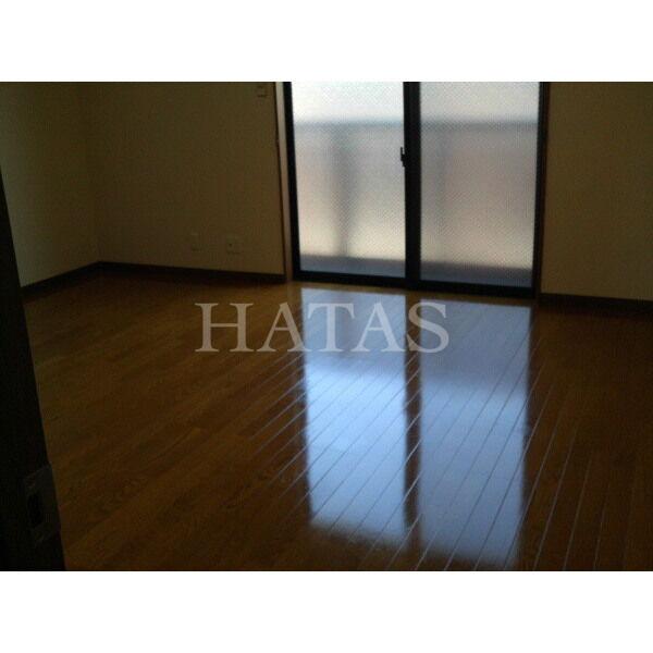 居室・リビング　同物件別部屋です